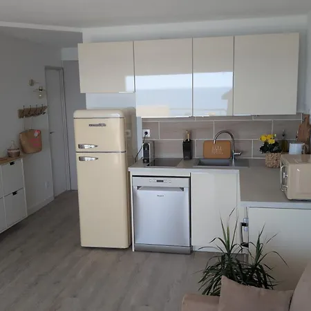 Apartment T3 Refait A Neuf Vue Mer, Piscine, Clim, Garage, Wifi